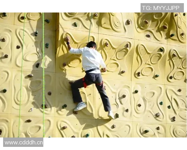 西安飞盘队在攀岩联赛中的战术分析与表现评估